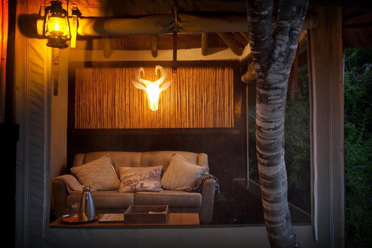 Safari Lodge - Amakhala Game Reserve Bagian luar foto