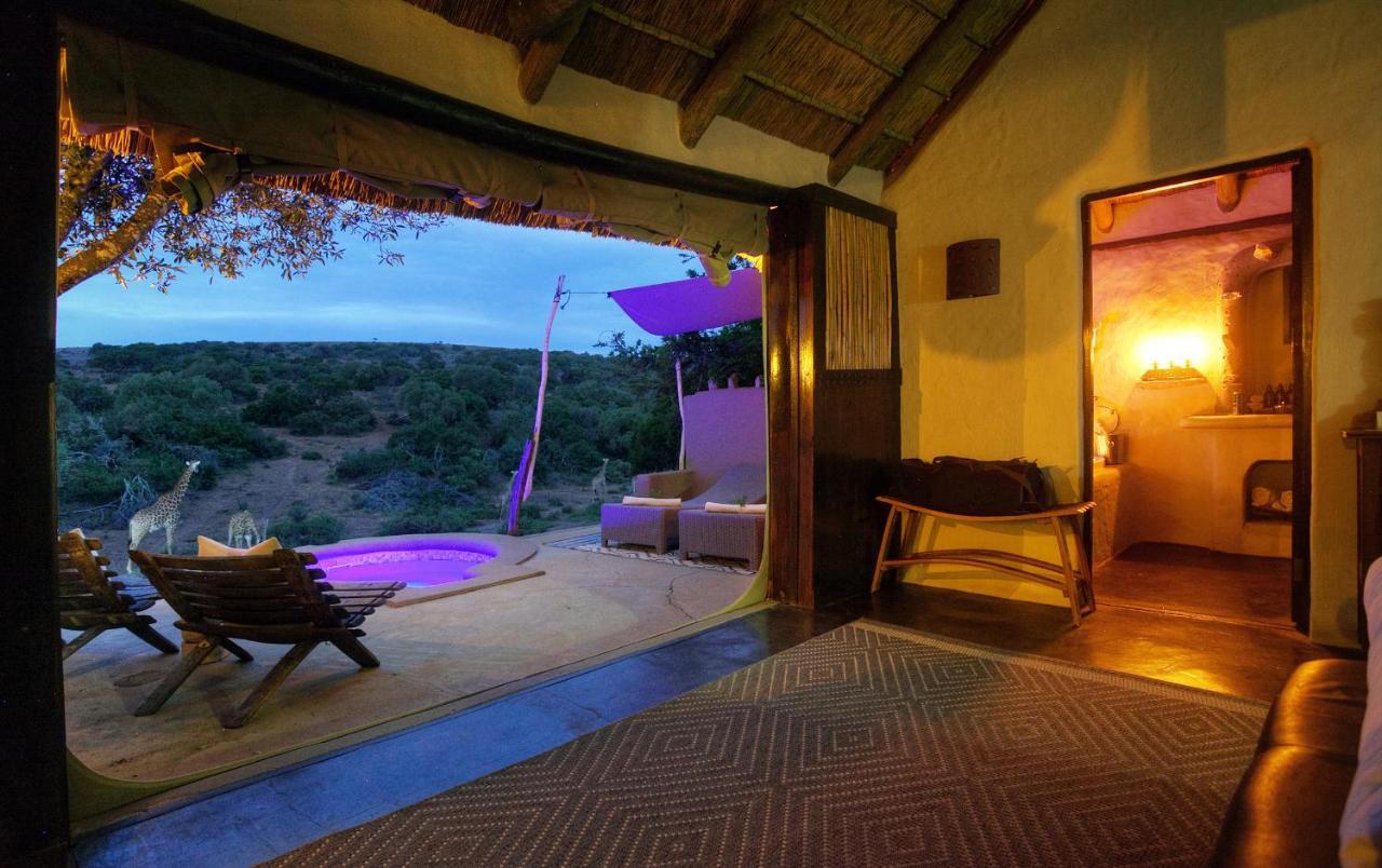 Safari Lodge - Amakhala Game Reserve Bagian luar foto