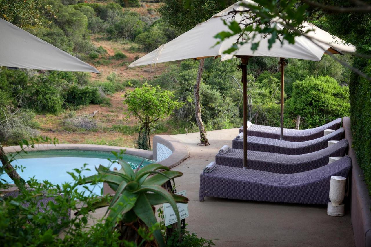 Safari Lodge - Amakhala Game Reserve Bagian luar foto
