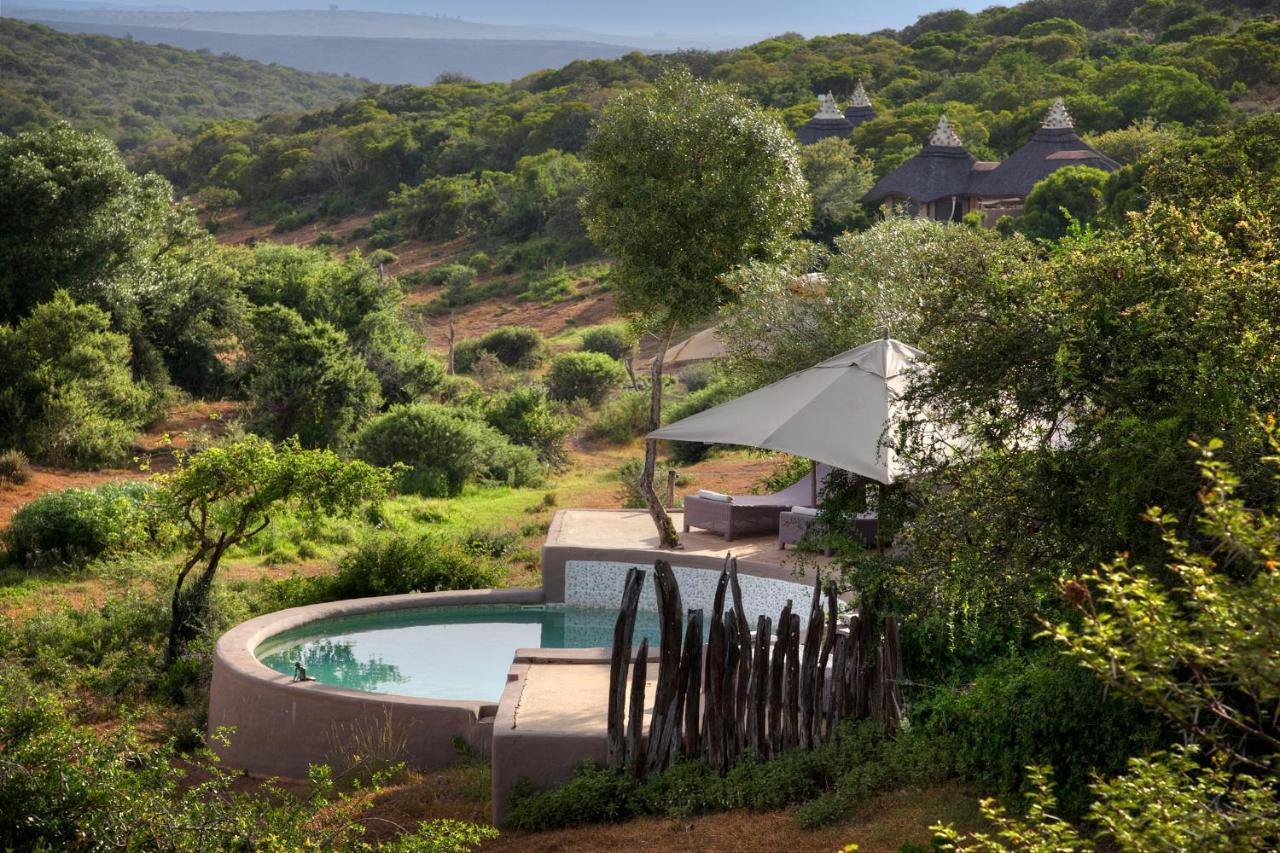 Safari Lodge - Amakhala Game Reserve Bagian luar foto