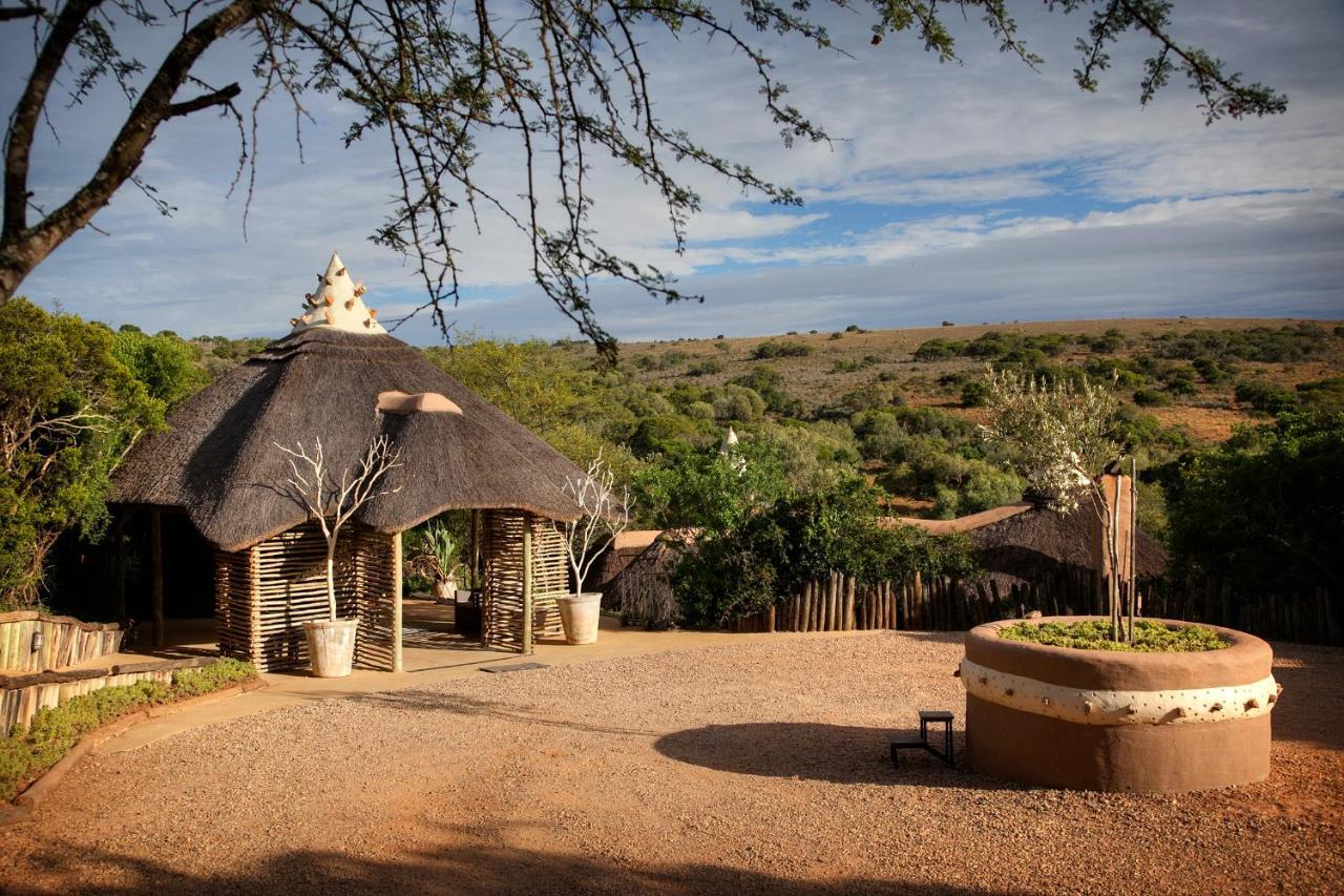 Safari Lodge - Amakhala Game Reserve Bagian luar foto