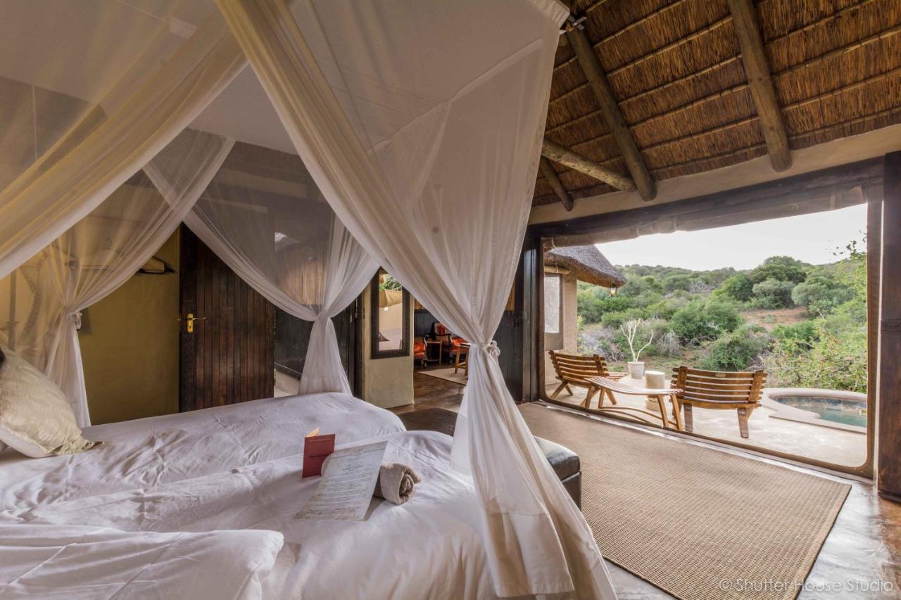 Safari Lodge - Amakhala Game Reserve Bagian luar foto